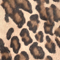 Leopard/Black